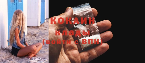 спиды Пересвет